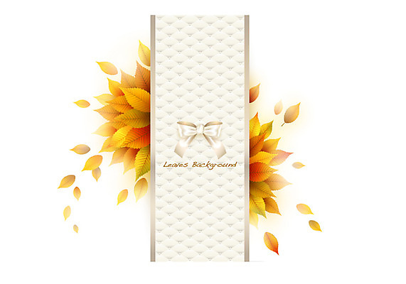 식물 배너 계절 컬러 백그라운드 잎 일러스트 자연 나뭇잎 안내 프레임 틀 사람없음 주황색 가을 풀 알림 나뭇잎배경 느티나무 가을배경 국내일러스트 AI파일 나무 생태계 파일형식 벡터 가을_계절