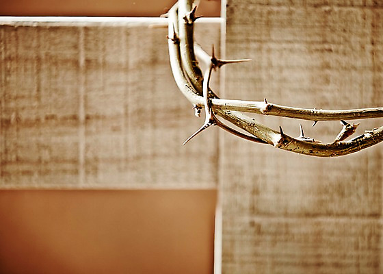 포토 JPG 스튜디오촬영 기독교 종교 배경화면 백그라운드 십자가 종교용품 기독교용품 실내 근접촬영 사람없음 아웃포커스 오브젝트 관 가시면류관 관_장례 국내포토 뷰포인트 촬영기법 내부 장례용품 파일형식