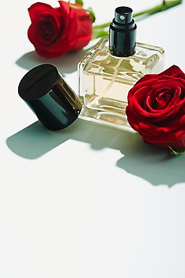 포토 JPG 스튜디오촬영 식물 꽃 생활용품 실내 그림자 근접촬영 사람없음 아웃포커스 뷰티 장미 화장품 화장용품 미용용품 병 향수 오브젝트 국내포토 식기 뷰포인트 촬영기법 내부 파일형식