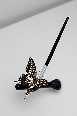 포토 JPG 스튜디오촬영 동물 한마리 생활용품 나비 곤충 실내 근접촬영 사람없음 아웃포커스 화장 뷰티 화장품 화장용품 붓 미용용품 오브젝트 국내포토 1 뷰포인트 촬영기법 내부 파일형식