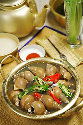 포토 JPG 그릇 접시 한식 음식 채소 술잔 고추 주전자 사람없음 아웃포커스 해물요리 소라 냄비 해산물 안주 고둥 파 막걸리 동동주 소라탕 초고추장 국내포토 식기 주방용품 어패류 잔 주류 촬영기법 양념 솥 탕 파일형식