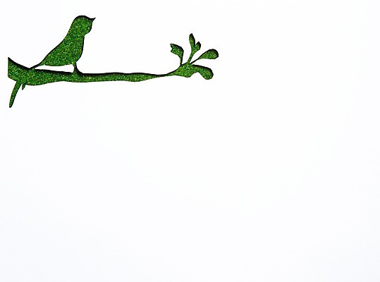 포토 JPG 스튜디오촬영 나무 식물 동물 한마리 종이 백그라운드 조류 프레임 실내 근접촬영 사람없음 나뭇가지 국내포토 1 뷰포인트 내부 파일형식