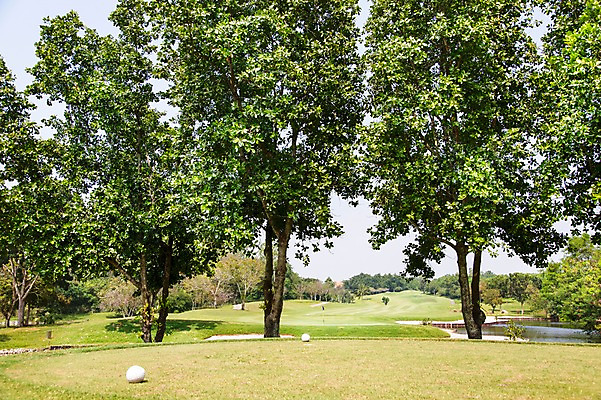 포토 JPG 주간 나무 식물 해외기획촬영 스포츠 2013년태국 골프 공 스포츠시설 골프장 태국 필드 레저 골프공 풍경 잔디 사람없음 야외 운동 깃발 연못 웅덩이 레저시설 국내포토 자연요소 아시아 골프용품 건강 구기 시설 파일형식