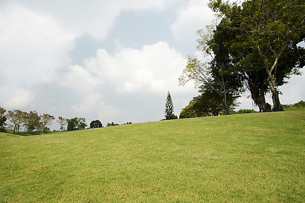 포토 JPG 주간 나무 식물 구름 해외기획촬영 스포츠 2013년태국 골프 스포츠시설 골프장 태국 필드 하늘 레저 풍경 잔디 사람없음 야외 운동 언덕 레저시설 국내포토 자연요소 아시아 건강 구기 시설 파일형식