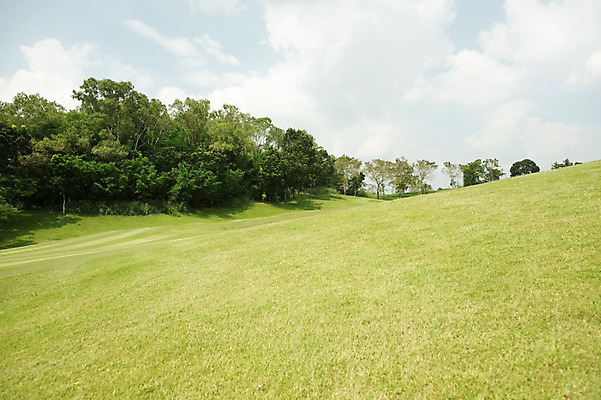 포토 JPG 주간 나무 식물 구름 해외기획촬영 스포츠 2013년태국 골프 스포츠시설 골프장 태국 필드 하늘 레저 풍경 잔디 사람없음 야외 운동 언덕 레저시설 국내포토 자연요소 아시아 건강 구기 시설 파일형식