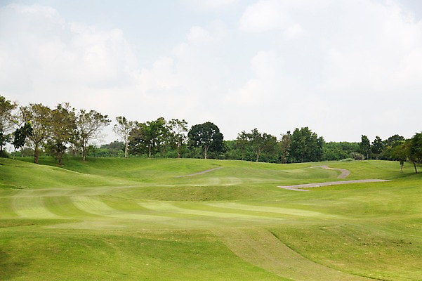 포토 JPG 주간 나무 식물 구름 해외기획촬영 스포츠 2013년태국 골프 스포츠시설 골프장 태국 필드 하늘 레저 풍경 잔디 사람없음 야외 운동 레저시설 국내포토 자연요소 아시아 건강 구기 시설 파일형식