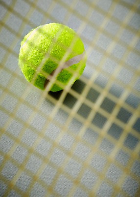 포토 JPG 스튜디오촬영 스포츠용품 스포츠 공 레저 실내 근접촬영 사람없음 아웃포커스 운동 테니스 도구 라켓 테니스라켓 테니스용품 그물 테니스공 오브젝트 국내포토 뷰포인트 촬영기법 건강 내부 구기 파일형식