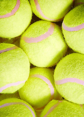 포토 JPG 스튜디오촬영 스포츠용품 스포츠 공 레저 실내 근접촬영 사람없음 운동 여러개 테니스 도구 테니스용품 테니스공 오브젝트 국내포토 뷰포인트 다수 건강 내부 구기 파일형식