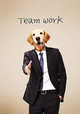 PSD 동물 편집 편집이미지 문자 남자 얼굴 비즈니스 포토일러 협력 악수 합성일러스트 협상 한명 서기 사람 정장 상반신 성인 타이포그라피 손들기 인사 직장인 비즈니스맨 리트리버 강아지 손내밀기 디지털합성 합성 메롱 반려 남자만 남자한명만 성인남자만 성인만 이미지편집 직업 1 옷 모션 손짓 신체부위 반려동물 예절 개 파일형식