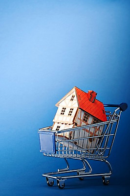 포토 JPG 스튜디오촬영 백그라운드 부동산 주택 실내 사람없음 건물 금융 쇼핑 카트 쇼핑카 미니어처 거래 장바구니 오브젝트 내집마련 부동산매매 국내포토 건축물 내부 경제 바구니 모형 재산 파일형식