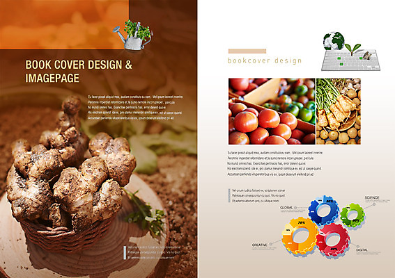 PSD 식물 템플릿 편집 표지디자인 북디자인 웰빙 출판디자인 내지 음식 캠페인 나비 곤충 백그라운드 토마토 채소 북커버 그래프 팜플렛 사람없음 농작물 지구본 새싹 물뿌리개 키보드 무 톱니바퀴 친환경 유기농 생강 열무 이미지템플릿 동물 농업 뿌리채소 환경 파일형식