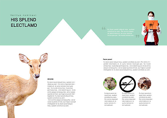 PSD 동물 템플릿 편집 표지디자인 북디자인 배너 출판디자인 여자 내지 야생동물 캠페인 백그라운드 북커버 사슴 마스크 한명 들기 사람 동양인 팜플렛 상반신 20대 성인 총 한국인 금지 보호 사냥 동물보호 밀렵 여자만 여자한명만 성인여자만 청년만 청년여자만 성인한명만 청년여자한명만 성인여자한명만 성인만 이미지템플릿 1 무기 컨셉 포유류 모션 인종 청년 사회이슈 불법 파일형식