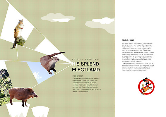 PSD 동물 구름 템플릿 편집 표지디자인 북디자인 출판디자인 남자 내지 야생동물 캠페인 백그라운드 북커버 여러마리 하늘 사슴 한명 사람 팜플렛 금지 돼지 보호 사냥 다람쥐 사냥꾼 동물보호 멧돼지 밀렵 수달 남자만 남자한명만 이미지템플릿 자연요소 직업 1 다수 컨셉 포유류 설치류 사회이슈 불법 파일형식