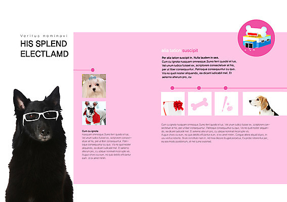 PSD 동물 템플릿 편집 표지디자인 북디자인 출판디자인 리본 내지 반려견 안경 캠페인 백그라운드 북커버 여러마리 뼈 선물 팜플렛 사람없음 선물상자 반려동물 고양이 야구방망이 글러브 권투글러브 말티즈 개 강아지 보호 슈나우저 야구공 비글 동물보호 개집 개뼈다귀 반려 애묘용품 이미지템플릿 잡화 스포츠용품 장갑 다수 컨셉 공 포유류 상자 야구용품 사회이슈 애견용품 애견간식 파일형식 반려용품