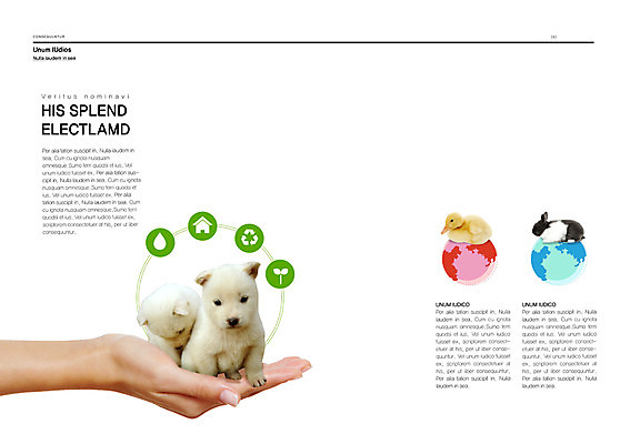 PSD 동물 템플릿 편집 표지디자인 북디자인 손 출판디자인 내지 반려견 새끼 캠페인 백그라운드 북커버 주택 오리 한명 들기 팜플렛 신체부위 반려동물 지구본 새싹 재활용 물방울 토끼 개 강아지 보호 동물보호 반려 이미지템플릿 식물 1 컨셉 포유류 모션 조류 사람 건물 사회이슈 친환경 파일형식