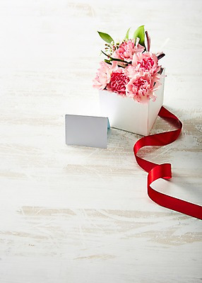 포토 JPG 스튜디오촬영 식물 꽃 리본 화분 종이 분홍색 컬러 백그라운드 꽃백그라운드 실내 사람없음 끈 카네이션 국내포토 카드프레임 프레임 내부 파일형식