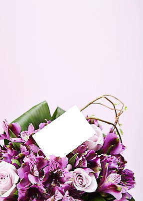 포토 JPG 스튜디오촬영 식물 꽃 종이 컬러 꽃다발 백그라운드 꽃백그라운드 프레임 실내 근접촬영 사람없음 아웃포커스 보라색 국내포토 카드프레임 뷰포인트 촬영기법 내부 파일형식