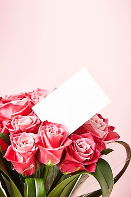 포토 JPG 스튜디오촬영 식물 꽃 종이 컬러 꽃다발 백그라운드 꽃백그라운드 프레임 실내 근접촬영 사람없음 아웃포커스 빨간색 장미 국내포토 카드프레임 뷰포인트 촬영기법 내부 파일형식