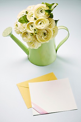 포토 JPG 스튜디오촬영 식물 꽃 종이 컬러 백그라운드 꽃백그라운드 실내 사람없음 물뿌리개 흰색 편지 라넌큘러스 국내포토 카드프레임 프레임 내부 파일형식