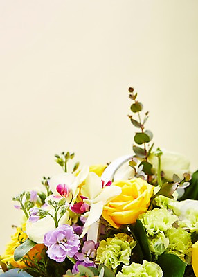 포토 JPG 스튜디오촬영 식물 꽃 백그라운드 꽃백그라운드 실내 선물 근접촬영 사람없음 아웃포커스 컬러풀 바구니 꽃바구니 국내포토 뷰포인트 컬러 촬영기법 내부 파일형식