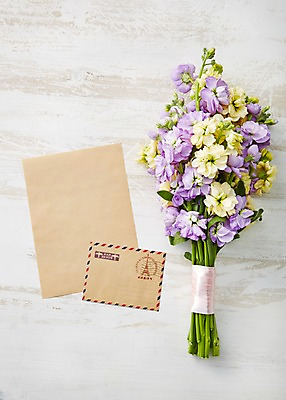 포토 JPG 스튜디오촬영 식물 꽃 종이 컬러 꽃다발 백그라운드 꽃백그라운드 실내 사람없음 노란색 보라색 편지 스토크 국내포토 카드프레임 프레임 내부 파일형식