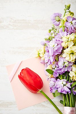 포토 JPG 스튜디오촬영 식물 꽃 종이 꽃다발 백그라운드 꽃백그라운드 실내 사람없음 아웃포커스 컬러풀 튤립 스토크 국내포토 카드프레임 컬러 프레임 촬영기법 내부 파일형식