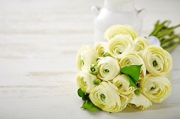 포토 JPG 스튜디오촬영 식물 꽃 컬러 꽃다발 백그라운드 꽃백그라운드 실내 근접촬영 사람없음 아웃포커스 노란색 꽃병 라넌큘러스 국내포토 뷰포인트 촬영기법 내부 파일형식