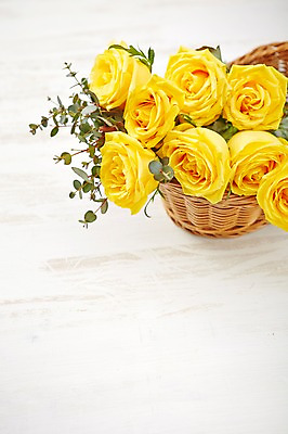 포토 JPG 스튜디오촬영 식물 꽃 컬러 백그라운드 꽃백그라운드 실내 선물 근접촬영 사람없음 장미 노란색 바구니 꽃바구니 국내포토 뷰포인트 내부 파일형식