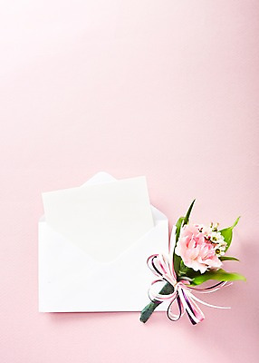 포토 JPG 스튜디오촬영 식물 꽃 리본 종이 분홍색 컬러 꽃다발 백그라운드 꽃백그라운드 실내 사람없음 편지 카네이션 국내포토 카드프레임 프레임 내부 파일형식