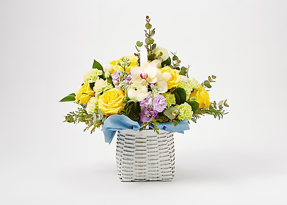 포토 JPG 스튜디오촬영 식물 꽃 백그라운드 꽃백그라운드 실내 선물 사람없음 컬러풀 바구니 꽃꽂이 꽃바구니 국내포토 컬러 내부 원예 파일형식