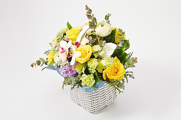 포토 JPG 스튜디오촬영 식물 꽃 백그라운드 꽃백그라운드 실내 선물 사람없음 컬러풀 바구니 꽃꽂이 꽃바구니 국내포토 컬러 내부 원예 파일형식