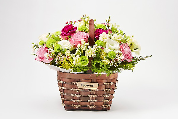 포토 JPG 스튜디오촬영 식물 꽃 백그라운드 꽃백그라운드 실내 선물 사람없음 컬러풀 바구니 꽃꽂이 꽃바구니 국내포토 컬러 내부 원예 파일형식
