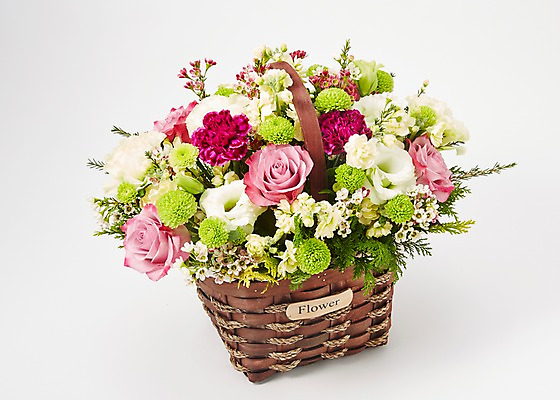 포토 JPG 스튜디오촬영 식물 꽃 백그라운드 꽃백그라운드 실내 선물 사람없음 컬러풀 바구니 꽃꽂이 꽃바구니 국내포토 컬러 내부 원예 파일형식