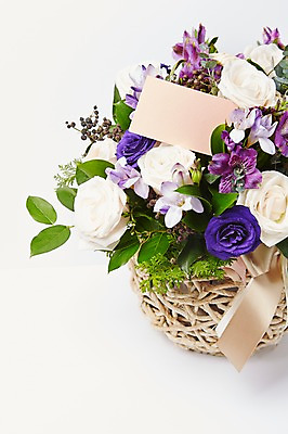 포토 JPG 스튜디오촬영 식물 꽃 리본 종이 백그라운드 꽃백그라운드 프레임 실내 선물 근접촬영 사람없음 컬러풀 바구니 꽃바구니 국내포토 카드프레임 뷰포인트 컬러 내부 파일형식