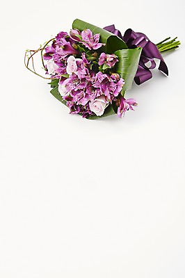 포토 JPG 스튜디오촬영 식물 꽃 리본 컬러 꽃다발 백그라운드 꽃백그라운드 실내 선물 사람없음 보라색 국내포토 내부 파일형식