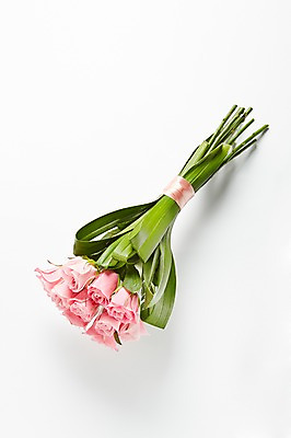 포토 JPG 스튜디오촬영 식물 꽃 분홍색 컬러 꽃다발 백그라운드 꽃백그라운드 실내 선물 사람없음 장미 국내포토 내부 파일형식