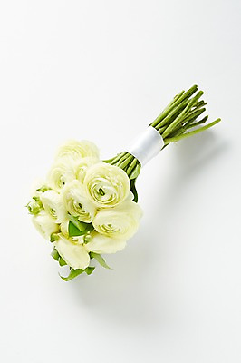 포토 JPG 스튜디오촬영 식물 꽃 컬러 꽃다발 백그라운드 꽃백그라운드 실내 선물 사람없음 노란색 라넌큘러스 국내포토 내부 파일형식