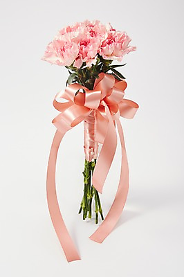 포토 JPG 스튜디오촬영 식물 꽃 리본 분홍색 컬러 꽃다발 백그라운드 꽃백그라운드 실내 선물 사람없음 카네이션 국내포토 내부 파일형식