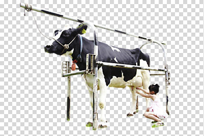 전신 동물 편집 편집이미지 한마리 학생 여자 초등학생 어린이 포즈 포유류 모션 한명 사람 앉기 동양인 소녀 옆모습 한국인 우유 체험학습 소 젖소 농장체험 PNG 우유짜기 짜기 여자만 여자한명만 어린이만 소녀만 소녀한명만 편집소스 1 뷰포인트 유제품 인종 농장 체험 파일형식