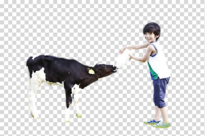 전신 동물 편집 편집이미지 한마리 라이프스타일 남자 어린이라이프 어린이 포즈 모션 한명 서기 웃음 사람 동양인 소년 옆모습 유치원생 한국인 우유 소 젖소 목장체험 PNG 남자만 남자한명만 어린이만 소년만 소년한명만 편집소스 1 뷰포인트 포유류 유제품 표정 인종 생활 체험학습 파일형식