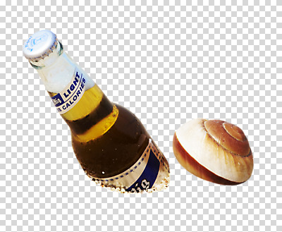 편집 편집이미지 음료 어패류 맥주 주류 병맥주 사람없음 소라 병 오브젝트 고둥 한병 PNG 편집소스 동물 1 식기 병_담는 파일형식