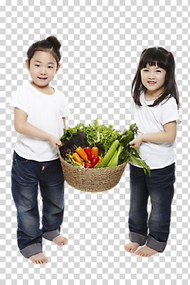 전신 편집 편집이미지 라이프스타일 여자 어린이라이프 어린이 채소 서기 웃음 들기 사람 동양인 소녀 두명 앞모습 옆모습 농작물 바구니 유치원생 한국인 친환경 유기농 채식 PNG 여자만 어린이만 소녀만 편집소스 웰빙 뷰포인트 농업 모션 표정 인종 생활 환경 파일형식
