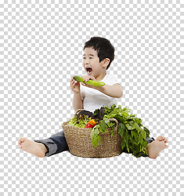 전신 편집 편집이미지 라이프스타일 남자 어린이라이프 어린이 채소 오이 입벌림 한명 들기 사람 앉기 동양인 소년 앞모습 농작물 바구니 유치원생 한국인 먹기 친환경 유기농 PNG 남자만 남자한명만 어린이만 소년만 소년한명만 편집소스 1 웰빙 뷰포인트 농업 모션 표정 인종 생활 환경 파일형식