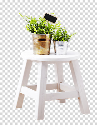 식물 편집 편집이미지 화분 화초 가구 잎 의자 사람없음 팻말 오브젝트 원예식물 PNG 편집소스 생활용품 프레임 파일형식