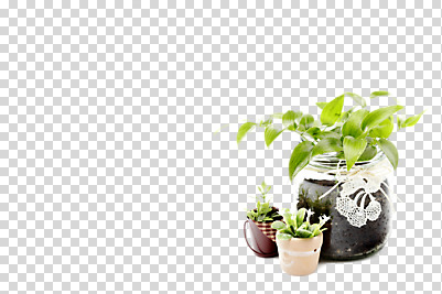 식물 편집 편집이미지 계절 화분 화초 잎 자연 생명 유리병 사람없음 라이프 봄 병 원예 원예식물 미니화분 PNG 스마일락스 편집소스 식기 병_용기 취미 생활 생태계 파일형식