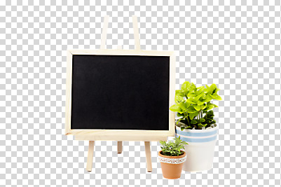 식물 편집 편집이미지 화분 화초 잎 알림판 사람없음 칠판 오브젝트 이젤 메모판 원예식물 PNG 미니사철 편집소스 상록넉줄고사리 미술도구 파일형식