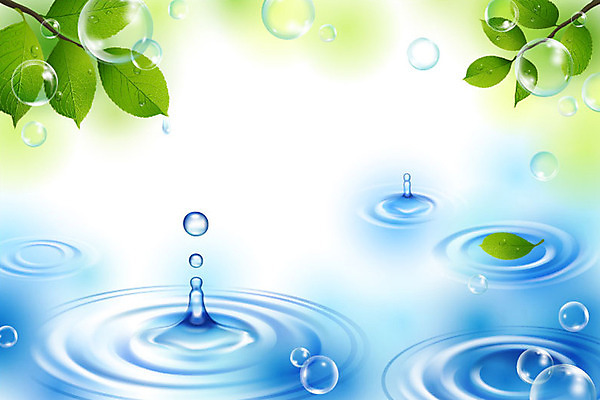 모양 식물 백그라운드 잎 무늬 일러스트 디지털백그라운드 나뭇잎 사람없음 그래픽 디지털 물방울무늬 물방울 나뭇가지 순수 물백그라운드 파동 물방울백그라운드 국내일러스트 AI파일 나무 컨셉 순간포착 물 파일형식 벡터