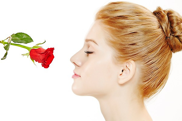 포토 JPG 스튜디오촬영 서양인 외국인 식물 우먼라이프 여자 꽃 모션 실내 한명 누끼 사람 상반신 20대 성인 옆모습 금발 뷰티 장미 눈감음 매끈함 향기 냄새 올림머리 묶은머리 청년만 청년여자만 청년여자한명만 성인여자한명만 국내포토 1 라이프스타일 헤어스타일 뷰포인트 인종 청년 내부 감각 여자만 여자한명만 성인여자만 성인만 파일형식