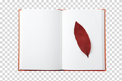 식물 편집 편집이미지 계절 단풍 낙엽 잎 나뭇잎 사람없음 책 독서 펼침 가을 오브젝트 한권 PNG 편집소스 1 모션 파일형식