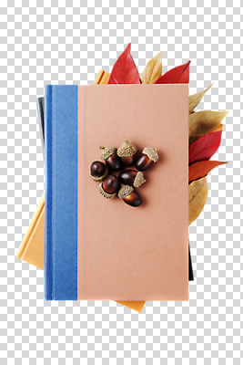 식물 편집 편집이미지 계절 열매 음식 단풍 잎 자연 사람없음 책 가을 오브젝트 도토리 PNG 편집소스 견과류 생태계 파일형식